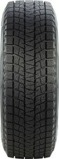 Bridgestone Blizzak DM-V1